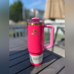 30 Oz Pink Parade Stanley NWT
